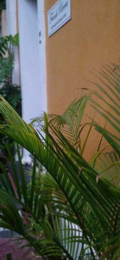 French Rivera Guest House ポンディシェリ エクステリア 写真